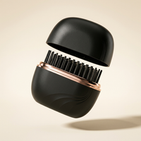 Mini Hair Straightener